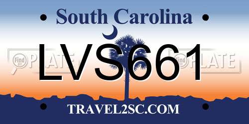 LVS661 South Carolina License Plate