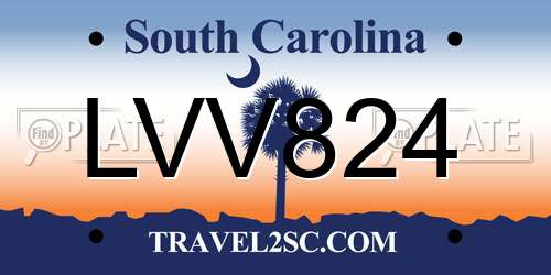 LVV824 South Carolina License Plate