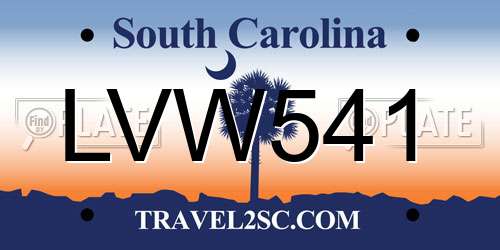 LVW541 South Carolina License Plate