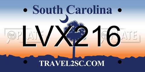 LVX216 South Carolina License Plate