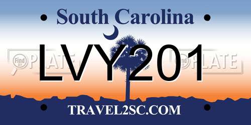LVY201 South Carolina License Plate