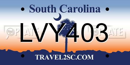 LVY403 South Carolina License Plate