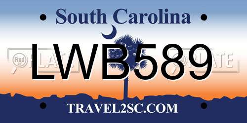 LWB589 South Carolina License Plate