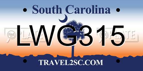 LWG315 South Carolina License Plate