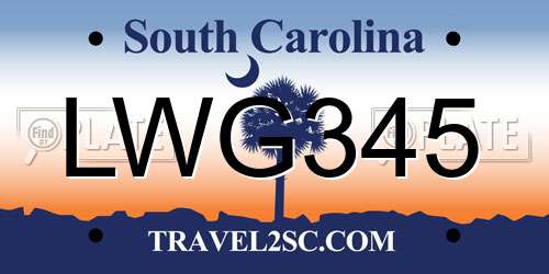 LWG345 South Carolina License Plate