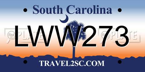 LWW273 South Carolina License Plate