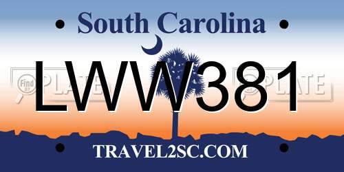 LWW381 South Carolina License Plate