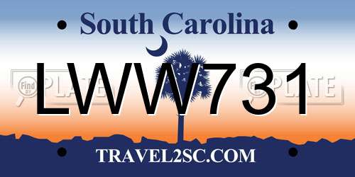 LWW731 South Carolina License Plate