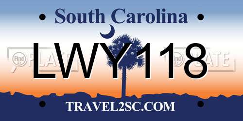 LWY118 South Carolina License Plate
