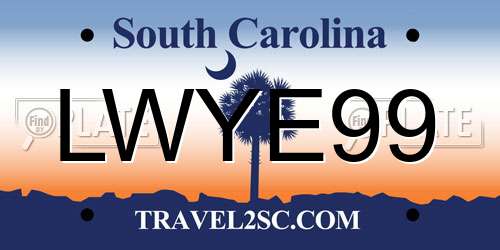 LWYE99 South Carolina License Plate