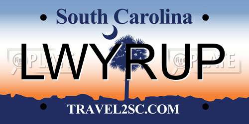 LWYRUP South Carolina License Plate