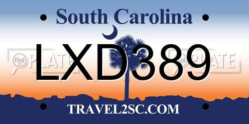 LXD389 South Carolina License Plate
