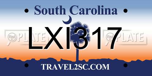 LXI317 South Carolina License Plate