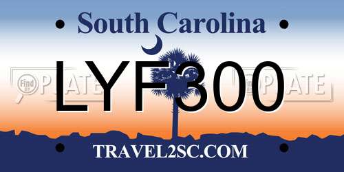 LYF300 South Carolina License Plate
