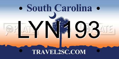 LYN193 South Carolina License Plate