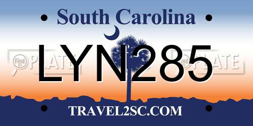 LYN285 South Carolina License Plate