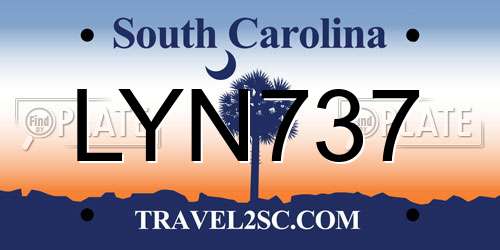 LYN737 South Carolina License Plate