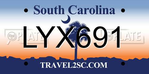 LYX691 South Carolina License Plate