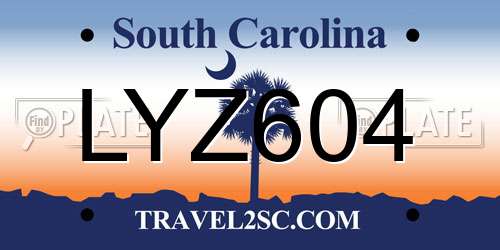 LYZ604 South Carolina License Plate