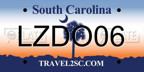 LZDO06 South Carolina License Plate