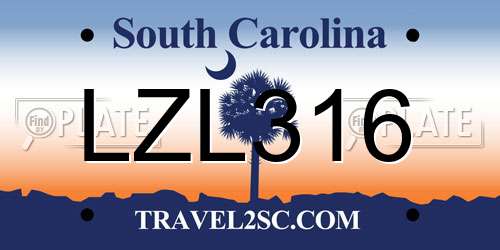 LZL316 South Carolina License Plate
