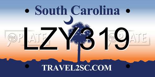 LZY319 South Carolina License Plate