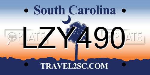 LZY490 South Carolina License Plate