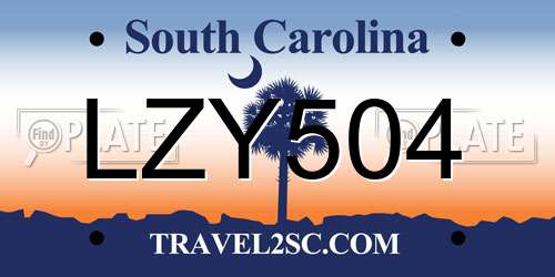 LZY504 South Carolina License Plate