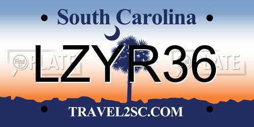 LZYR36 South Carolina License Plate