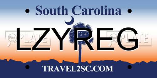 LZYREG South Carolina License Plate