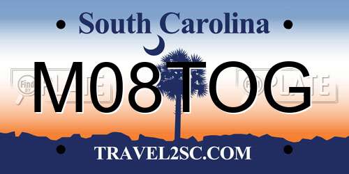 M08TOG South Carolina License Plate