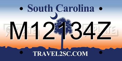 M12134Z South Carolina License Plate