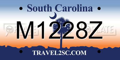 M1228Z South Carolina License Plate