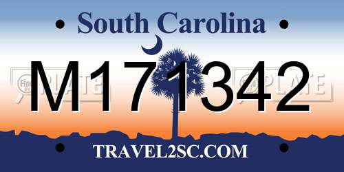 M171342 South Carolina License Plate