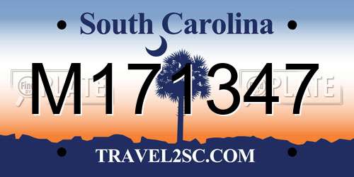 M171347 South Carolina License Plate