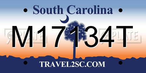 M17134T South Carolina License Plate