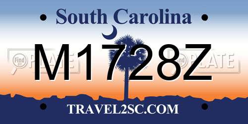 M1728Z South Carolina License Plate