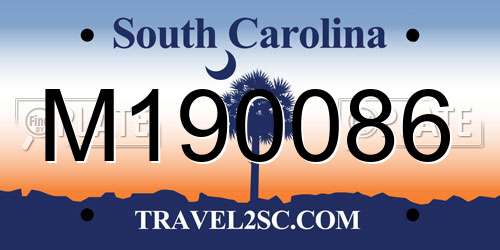 M190086 South Carolina License Plate