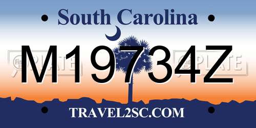 M19734Z South Carolina License Plate