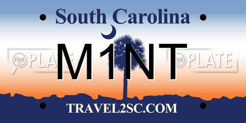 M1NT South Carolina License Plate
