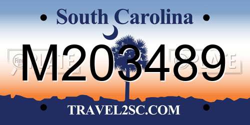 M203489 South Carolina License Plate