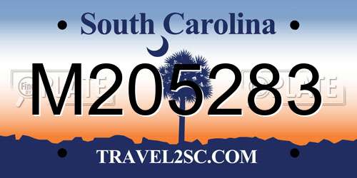 M205283 South Carolina License Plate