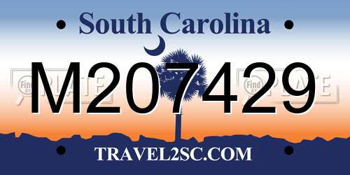 M207429 South Carolina License Plate