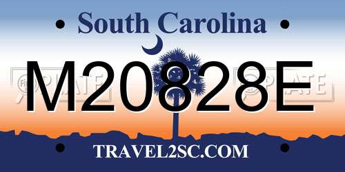 M20828E South Carolina License Plate