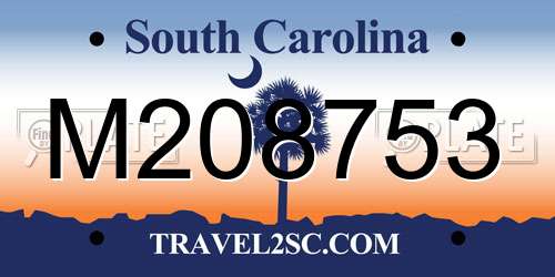 M208753 South Carolina License Plate