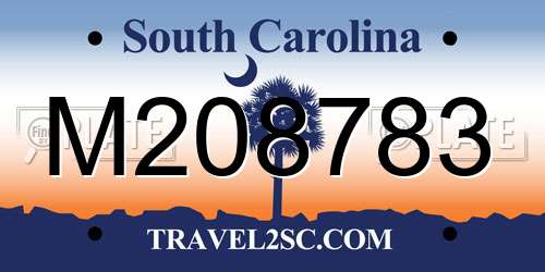 M208783 South Carolina License Plate