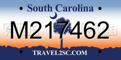 M217462 South Carolina License Plate