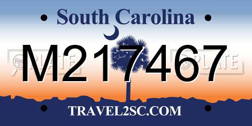 M217467 South Carolina License Plate