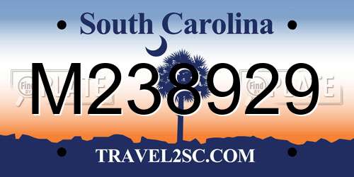 M238929 South Carolina License Plate