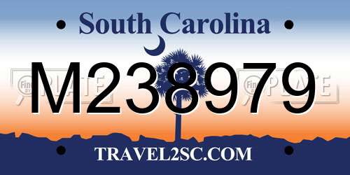 M238979 South Carolina License Plate